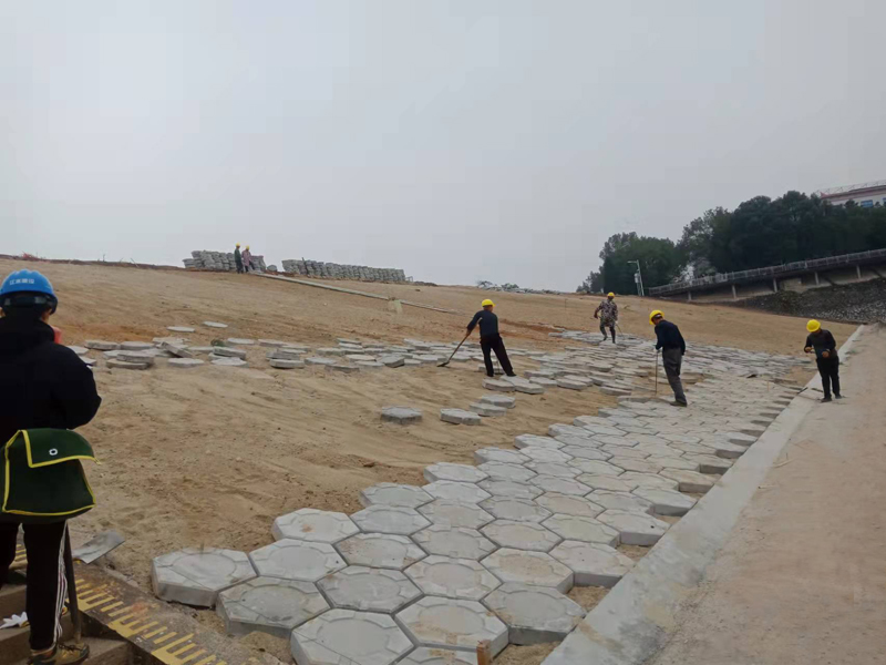 6377655266355639286349982