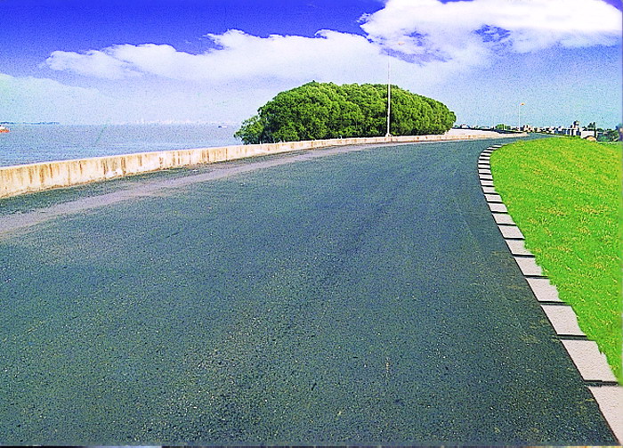 长江九江段济益公堤顶公路